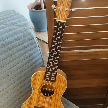 Casa Coral - & Culture