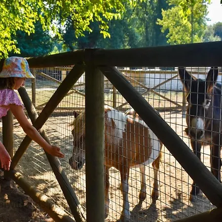 Casa Coral - & Culture 3* Braga